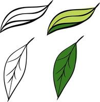 green leaves graphic line ink illustration set. set of elements isolated on transparent background ideal for nature-themed designs and eco-friendly projects vector