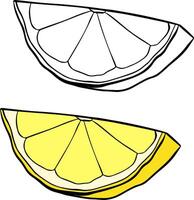 lemon slice graphic line ink illustration. isolated on white background, Lemon slice illustration vector