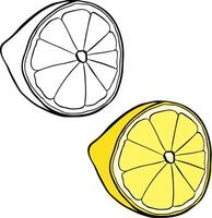 Half of a ripe lemon in graphic line ink style. isolated Fresh citrus fruit. Ingredient for making lemonade or dessert. Lemon. vector