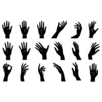 Collection of Hands Showing Gestures Illustration vector