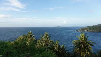 A view of the ocean from a hill photo
