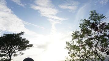 A person is flying a kite photo