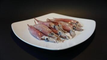 Squid on a plate with a black background photo