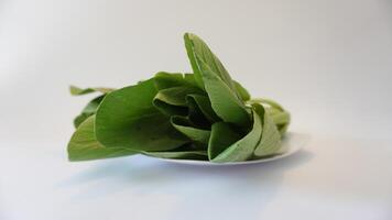 A white plate with a bunch of green leaves photo