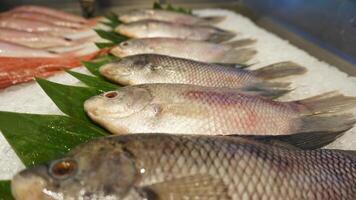 A group of fish on a tray with a leaf photo