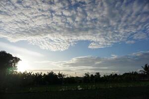A plane flying over a field with trees and clouds photo