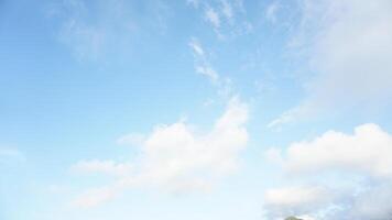 A man flying a kite on a sunny day photo