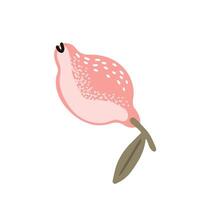 lemon soft pink abstract on white background, flat style illustration vector
