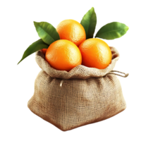 A close-up view of three vibrant oranges nestled within a rustic burlap sack. png