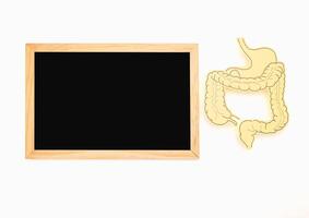 A mini blackboard and a large intestine shape made from yellow paper on a white background photo