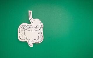 Top view of a large intestine symbol made from paper on a green background photo