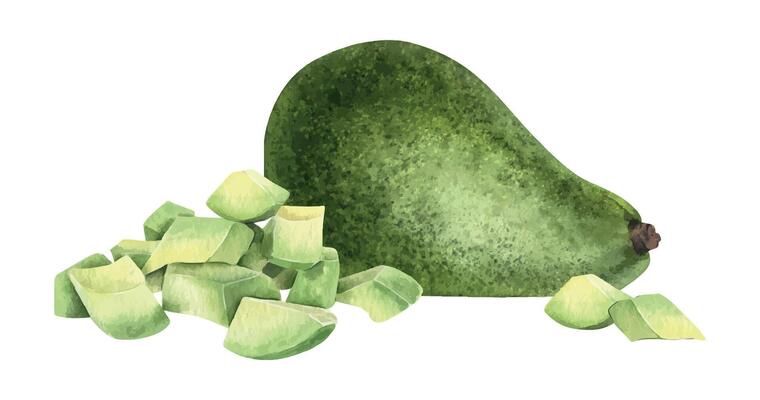 Whole Green Avocado, pile pulp and diced slices. Isolated hand drawn watercolor food illustration of vegan Vegetables for menu,packaging of food and cosmetics, fabrics, cards, recipe