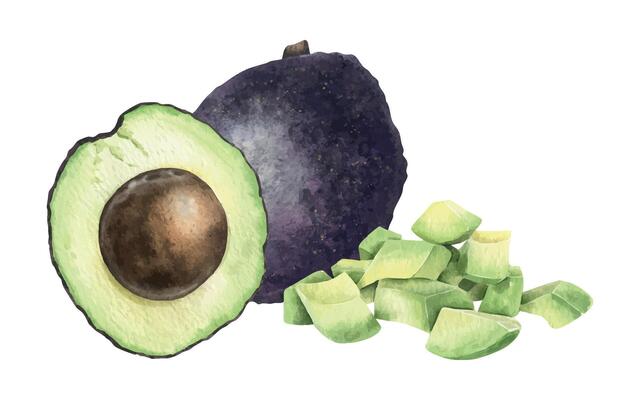 Whole Hass Avocado, halved fruits, pile pulp and diced slices. Isolated hand drawn watercolor food illustration of vegan Vegetables for menu,packaging of food and cosmetics, fabrics, cards, recipe