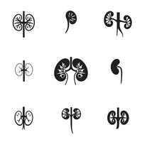 kidney icon set on white background vector