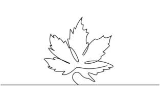 Leaf Continuous single one line drawing illustration design vector