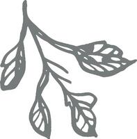 Hand drawn leaf branch sketch botanical vintage illustration decorative monochrome artistic line art natural foliage rustic design minimalistic floral engraving elegant traditional element vector