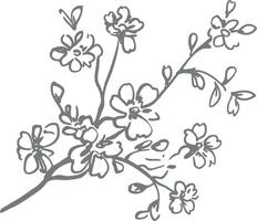 Hand drawn floral branch sketch with blooming flowers leaves botanical vintage illustration decorative monochrome artistic line art nature romantic elegant rustic design minimalistic vector