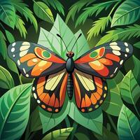 butterfly on green leaves illustration vector