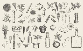 Elegant culinary sketch showcasing an array of fresh herbs and essential kitchen ingredients vector