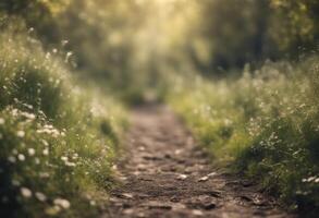 A dirt path through a grassy field with flowers photo