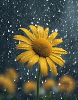 blossom three enjoying image background change collage falling abstract artwork bloom flowers olated paint art magazine laughing rainstorm botany advertisement care rain caricature photo