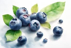 nature art leaves watercolor olated white blueberry illustration berry food blueberries photo