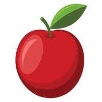 Fresh Ripe Red Plum on White Background vector