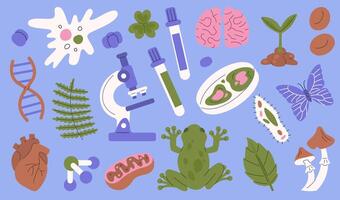 Biology science objects with microscope and cells vector