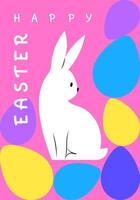 Happy Easter greeting card with white rabbit and colored eggs on pink background. vector