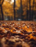 border vintage autumn flower nature used pattern background brown parchment frame worn photo