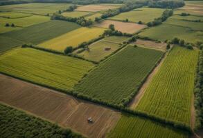 farm plant principles line generative fields variety growing ai landscape pattern good ecology drone polyculture aerial permaculture agriculture photo using showing food nature background crops
