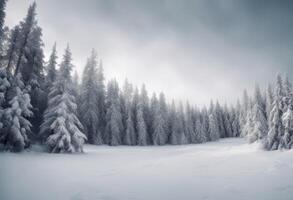 of covered forest fresh tree due frosty snow day scene seasonal snowy scenery panorama contrast duotone white holiday christmas winter time trees cold almost spruce horizontal sky photo