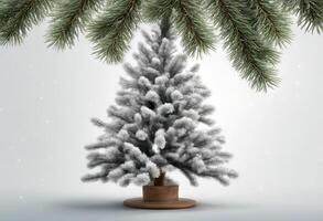 white treebranch art set branches pine plant fir christmas abstract background tree spruce photo
