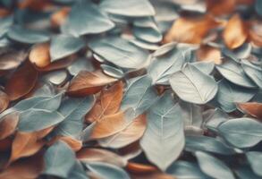 tile tree design nature leaf background leaves colours texture transparent plant photo