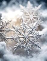 of symmetry shapes olated real details background xagonal three stellar crystals ice crystal surface relief photo snow glossy white ornate elegant dendrites nature snowflakes macro complex