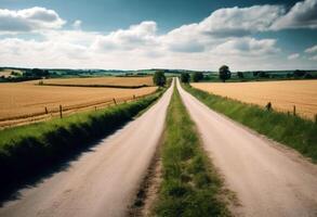 two fields surrounded roads countryside sides have Rural Background Sky Summer Travel Nature Tree Spring Grass Landscape Road Forest Sun Green Farm Agriculture Plant Street Eye Trees Speed Field photo