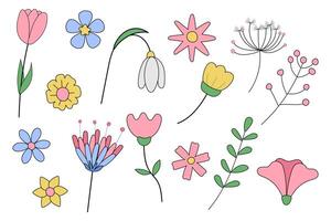 Spring Flower Set Isolated On White Background. vector
