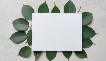 style aesthetic social view business minimal boho minimal card media blog flat et paper leaves eucalyptus background blank paper invitation top dding template eucalyptus blank copy mockup card lay spa photo