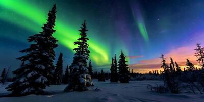 Aurora borealis, alaska, alaska, aurora borealis, aurora bore photo