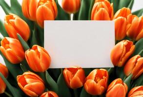space blank topview background tulips copy orange easter frame flower paper gift card white photo