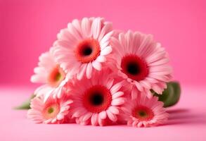 valentine woman background gerberas flower fresh composition pattern paper fragrant spring mother gerbera banner pink birthday panorama ader photo