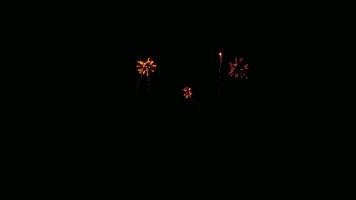 Fireworks in the night sky. A dazzling display of fireworks erupts against the backdrop of a moonless night, illuminating the darkness with bursts of vibrant color and radiant light. video