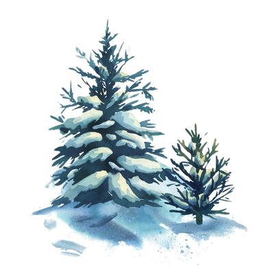 Winter landscape in the forest with two spruce trees with snow on the branches and snowdrifts around. Watercolor hand drawn illustration. Composition simple wildlife scene isolated from background