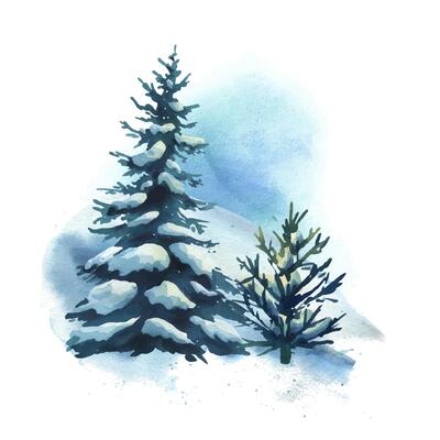 Winter landscape in the forest with two spruce trees with snow on the branches and snowdrifts around. Watercolor hand drawn illustration. Composition simple wildlife scene isolated from background