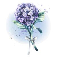 A lilac hydrangea flower with a satin bow and a paper tag for the inscription. Watercolor illustration. An isolated object from the WEDDING FLOWERS collection. For the design and design of printing vector