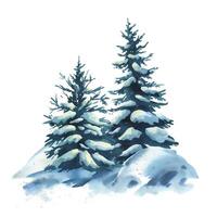 Winter landscape in the forest with two spruce trees with snow on the branches and snowdrifts around. Watercolor hand drawn illustration. Composition simple wildlife scene isolated from background vector