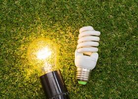 Light bulb in the grass. Saving energy concept photo
