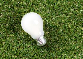 Light bulb in the grass. Saving energy concept photo