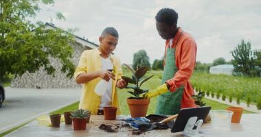 Two men working on a garden with plants video