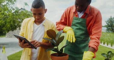 Two men in aprons using a tablet while working in the garden video